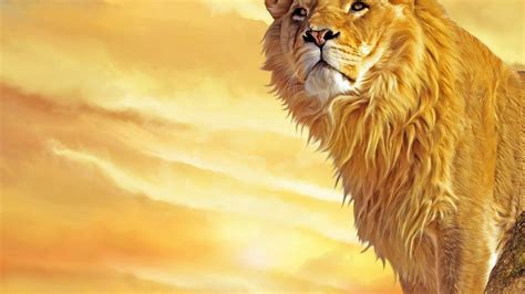 Hd Lion Wallpapers 1080p Wallpaper Cave