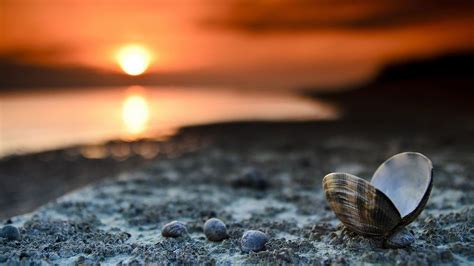 Wallpaper For Laptop | Hd wallpapers for laptop, Beach sunset wallpaper