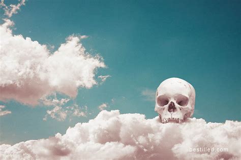Cranium On Clouds Bone Art Skull Art Skull Anatomy