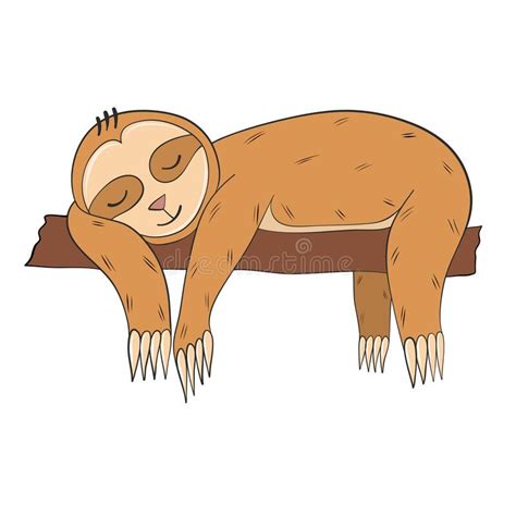 Sloth Lying And Sleeping On Branch Hand Drawn Stock Vector