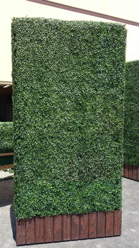 Hedge Panel For Sale Artificial Boxwood Outdoor Privacy Artificial