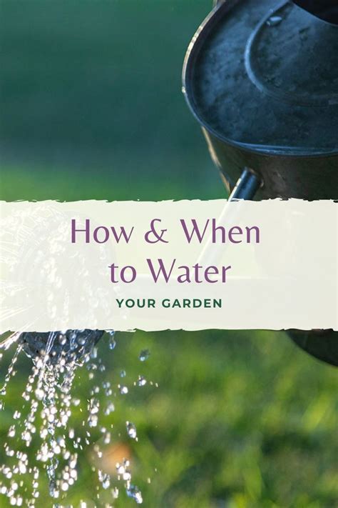 How And When To Water Your Garden Artofit