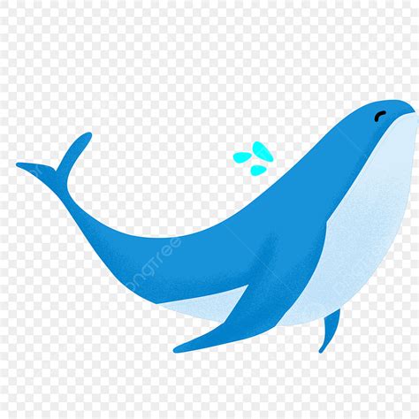 Blue Whale Clipart Transparent Background Blue Whale Beautiful Whale