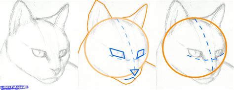 Mark off the width and height of the picture. Animals Step By Step Drawing at GetDrawings | Free download