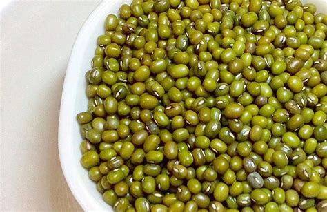 Organic Sabut Green Moong Dal High In Protein At Rs 90kg In Gwalior Id 2850465270962