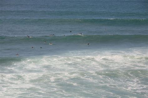Un jeune surfeur tué par un requin en Australie