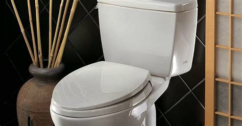 7 Best Flushing Toilets In 2024 Detailed Reviews They Flush