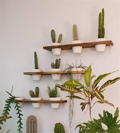 Wall Mounted Shelves For Plants Stylish And Space Saving Wall Mount