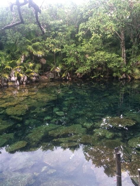 Cenote 1 Tankah Tulum México Vacay Outdoor Tulum