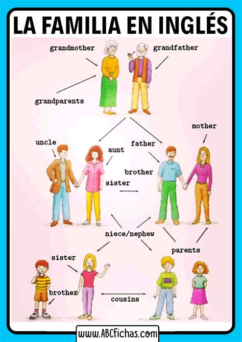 Vocabulario De Los Miembros De La Familia En Inglés