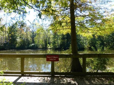 A group camp may be reserved for overnight visitors, as well. Fishing Pond ("Beware of Alligators") - but we didn't see ...