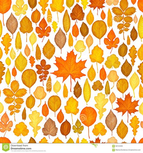 Seamless Pattern Of Autumn Leaves Vector Stock Vector Illustration Of