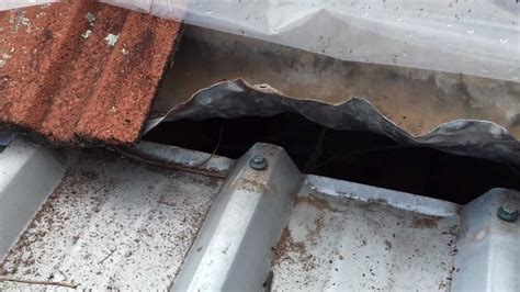 Discover 6 methods to find a roof leak and 13 diy repairs for a leaking roof. Sydney roofing repairs, leaking joint between tile and ...