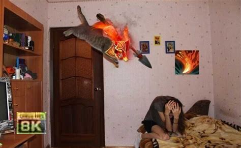 Discover and share the best gifs on tenor. Set of Community Memes Dota 2 Vol.14