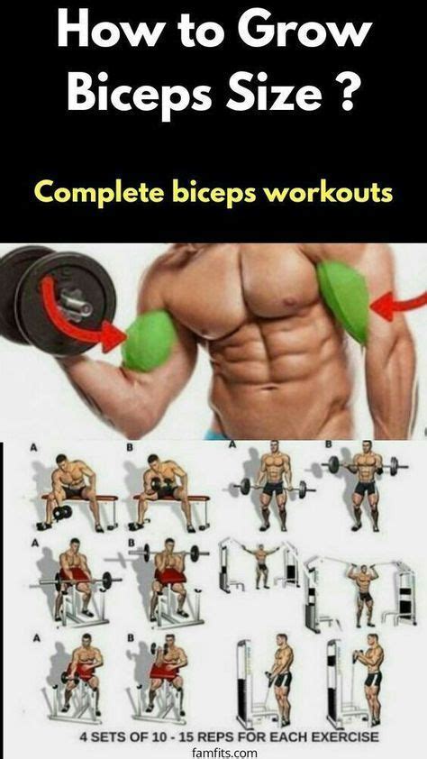How To Build Your Biceps Arms In The Gym Workout Minutes Workout