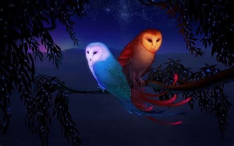 Wallpaper Illustration Birds Night Branch Blue Owl Darkness