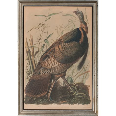 audubon chromolithograph wild turkey bien edition cowan s auction house the midwest s most