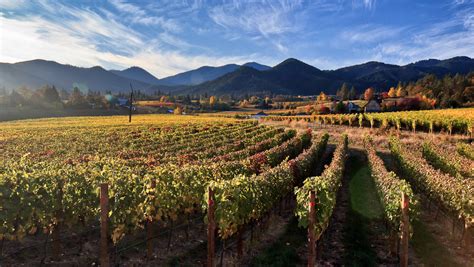 A Guide To Southern Oregon Wine Sevenfifty Daily