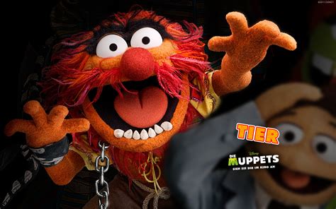 Muppet Animal Screensaver Imagui
