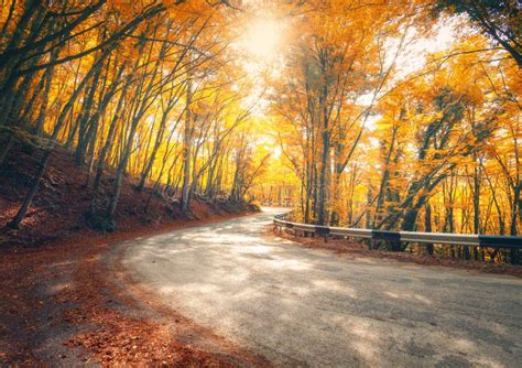 Amazing View With Colorful Autumn Forest With Asphalt Mountain Road