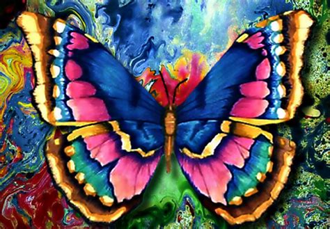 Abstract Butterfly Desktop Wallpaper Wallpapersafari