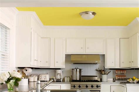 28 Painted Ceiling Ideas