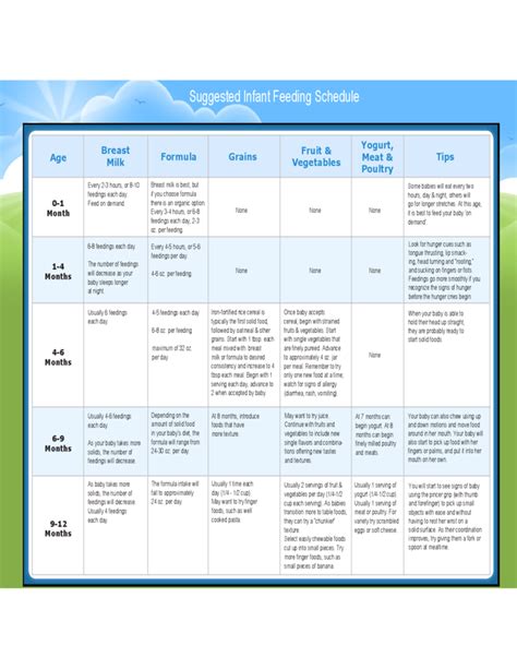 Suggested Infant Feeding Schedule Chart Free Download