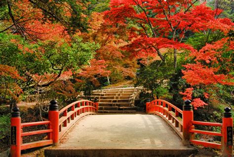 Our Top 10 Places To See Autumn Leaves In Japan Insidejapan Tours