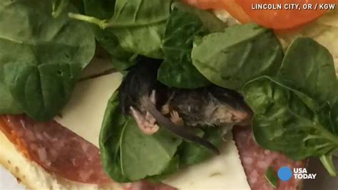 Man Finds Dead Mouse In Subway Sandwich