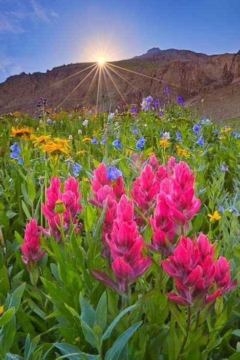Sun Raise Over San Juan Mountains Colorado United States