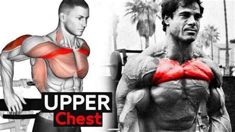The Most Effective Upper Chest Exercises • Bodybuilding Wizard