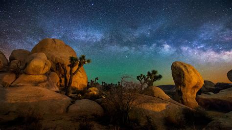 Joshua Tree Wallpapers Top Free Joshua Tree Backgrounds Wallpaperaccess