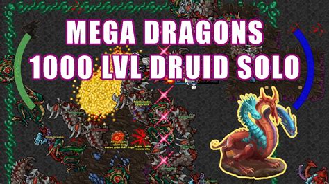 Nimmersatt S Breeding Ground ED SOLO 8 6 KK RAW EXP H Mega Dragons