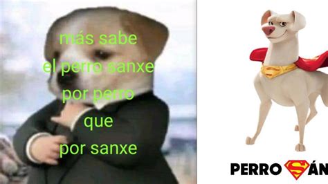 From Insult To Meme The Evolution Of Perro Sánchez World Today News
