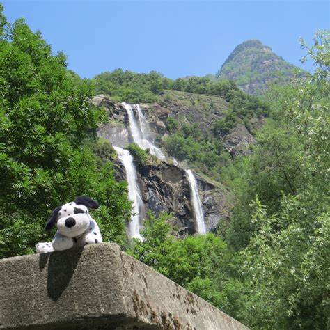 Acquafraggia (also acqua fraggia) is a short and frequently steep torrente, or seasonal stream, of the province of sondrio in lombardy, north. The Travels of a Spotted Dog: Cascate dell'Acquafraggia, Chiavenna