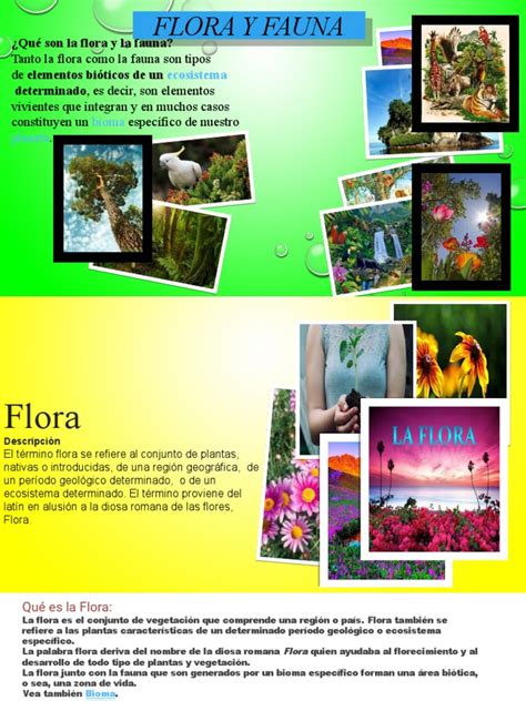 diapositivas flora y fauna wilder pdf fauna flora