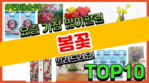 봄꽃 추천 판매순위 Top10 가격 평점 후기 비교 Youtube