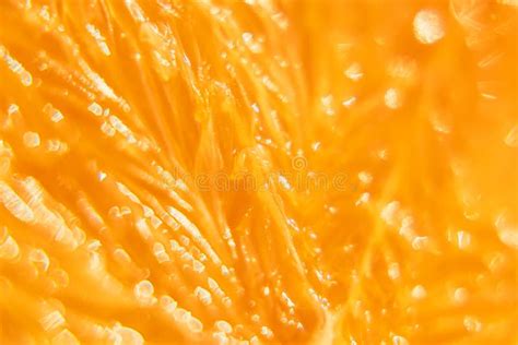 Orange Macro Texture Stock Photo Image Of Isolated 105537002