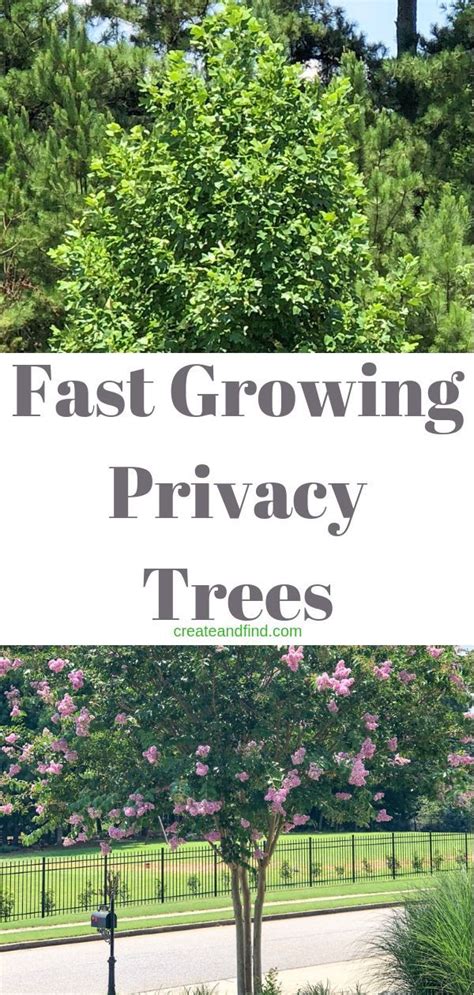 Fast Growing Privacy Trees Artofit