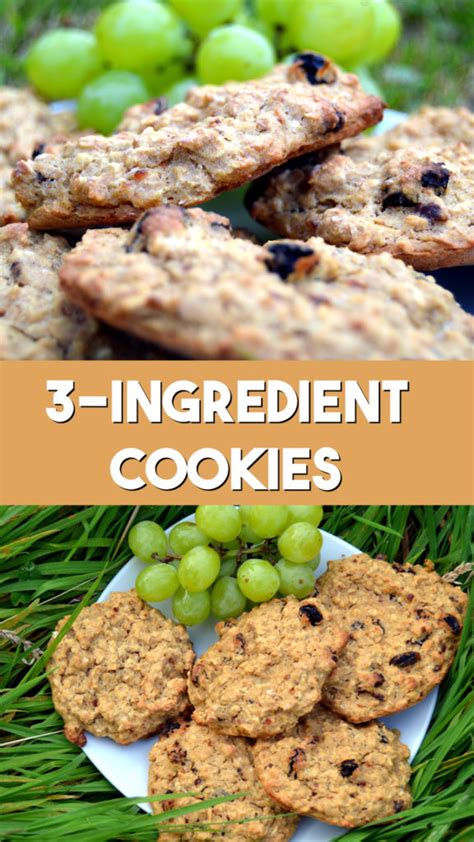 3 Ingredient Cookie Oat Biscuits Nest And Glow