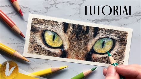 How To Draw A Cats Eyes With Colored Pencils Cat Fur L Drawing