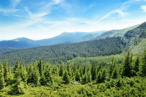 Mountains Covered Trees Stock Photo Image Of Nature 37931844