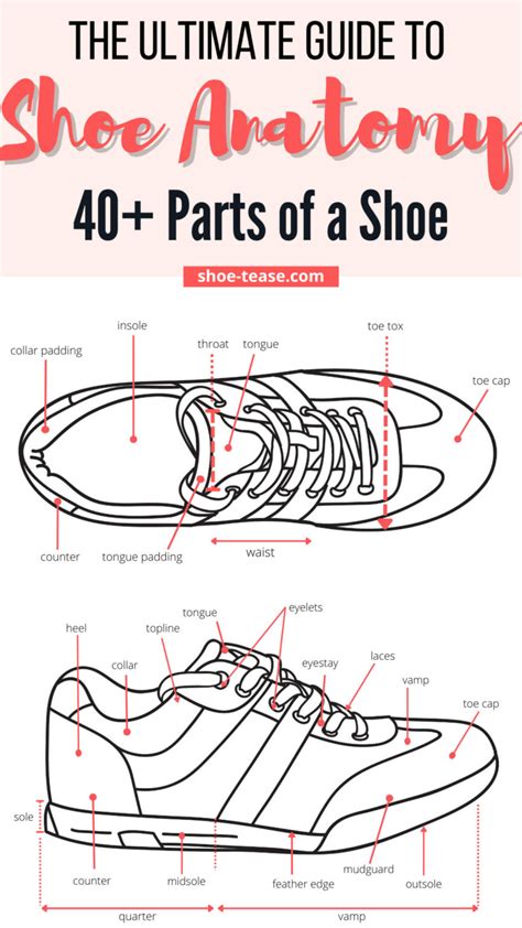 Shoe Anatomy Guide 40 Different Parts Of A Shoe With Names And Images