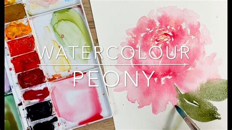 Watercolour Peony Tutorial Youtube