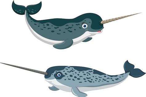 Cartoon Narwhal Images Free Vectors Stock Photos And Psd