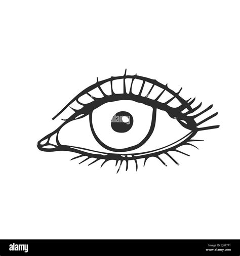 Doodle Human Eye Vector Sketch Isolated Stock Vector Image And Art Alamy
