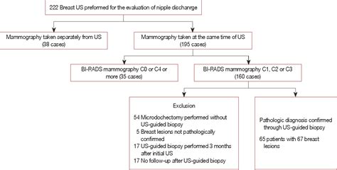 Figure 1 From Reliability Of Breast Ultrasound Bi Rads Final Assessment