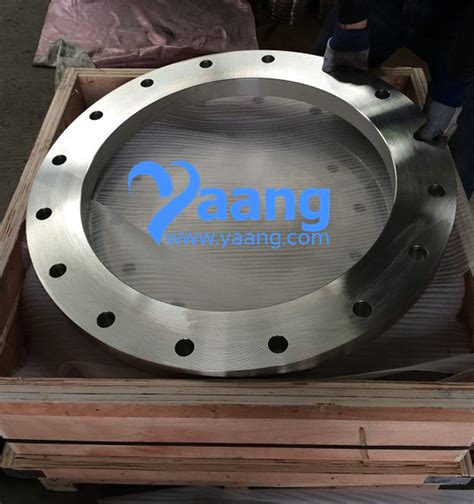 Yaang Pipe Industry Asme B165 A182 Uns 32750 Gr2507 Plate Flange 6