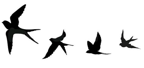 Golondrinas Tatuajes De Pájaros Volando Tatuajes De Aves Volando