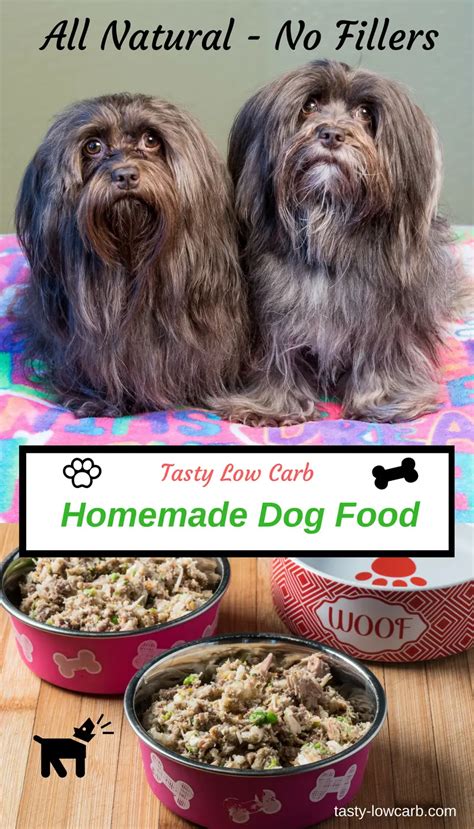 Healthy Homemade Dog Food Tasty Low Carb